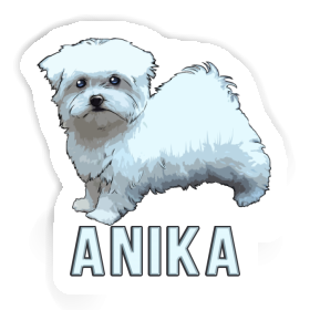 Autocollant Bichon maltais Anika Image