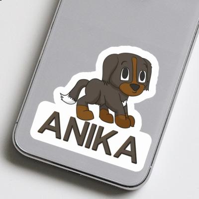 Sennenhund Sticker Anika Gift package Image