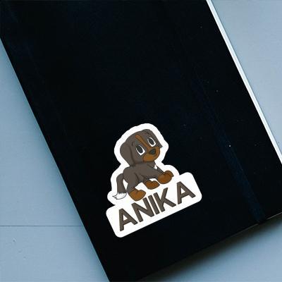 Sennenhund Sticker Anika Gift package Image