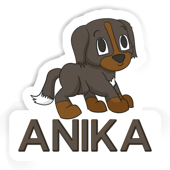 Sennenhund Sticker Anika Gift package Image