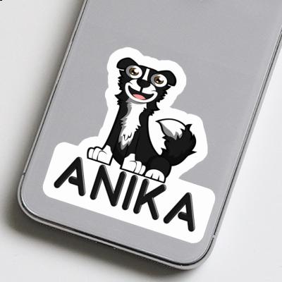 Anika Sticker Collie Gift package Image