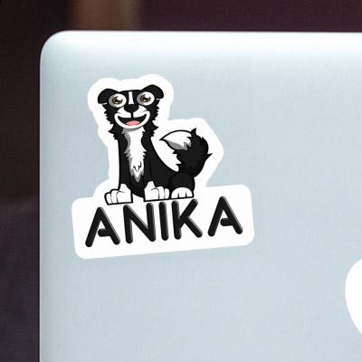 Anika Sticker Collie Gift package Image