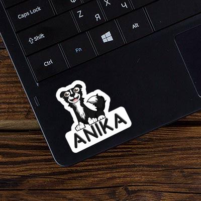 Sticker Border Collie Anika Gift package Image