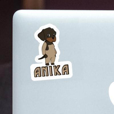 Sticker Anika German Wirehaired Gift package Image