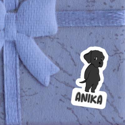 Anika Autocollant Labrador Gift package Image