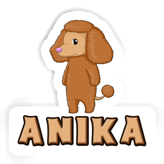 Autocollant Caniche Anika Gift package Image