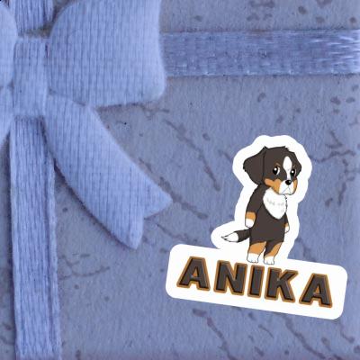 Aufkleber Anika Berner Sennenhund Gift package Image