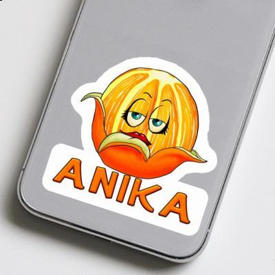 Orange Autocollant Anika Gift package Image