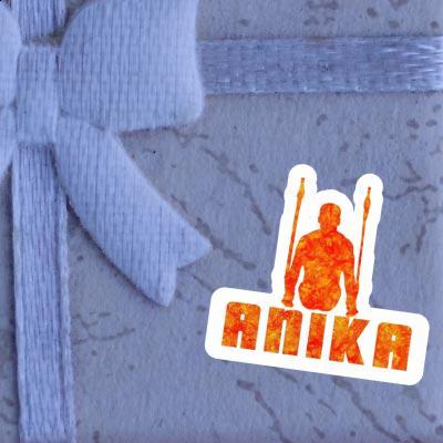 Anika Sticker Ring gymnast Gift package Image