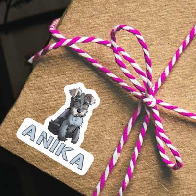 Autocollant Schnauzer Anika Gift package Image