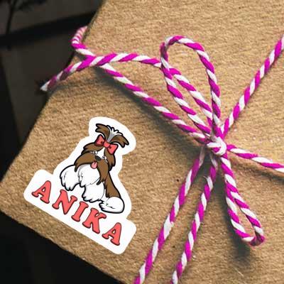 Autocollant Anika Shih Tzu Gift package Image