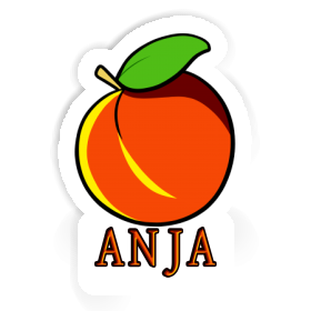 Aprikose Sticker Anja Image