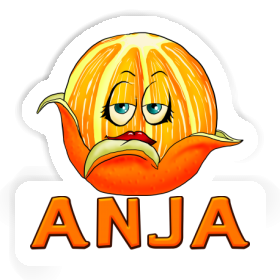 Anja Aufkleber Orange Image