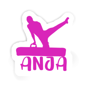 Anja Sticker Turner Image