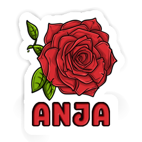 Rose Aufkleber Anja Image