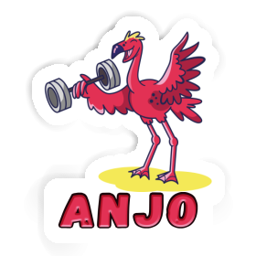 Anjo Autocollant Flamant Image