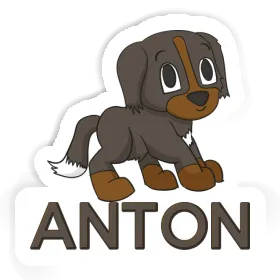 Anton Aufkleber Berner Sennenhund Image