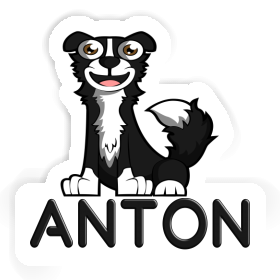 Anton Sticker Border Collie Image