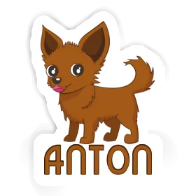 Anton Aufkleber Chihuahua Image