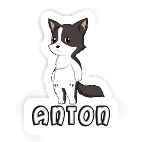 Sticker Border Collie Anton Image