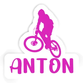 Aufkleber Downhiller Anton Image