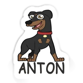 Aufkleber Anton Pinscher Image