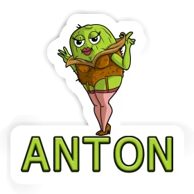 Sticker Kiwi Anton Image