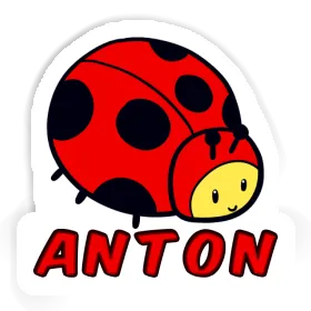 Anton Sticker Marienkäfer Image