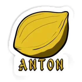 Nuss Sticker Anton Image