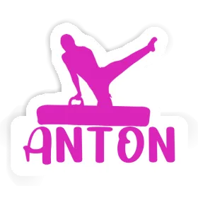 Turner Sticker Anton Image