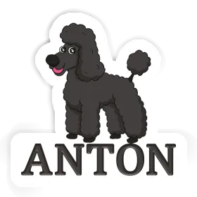 Pudel Aufkleber Anton Image