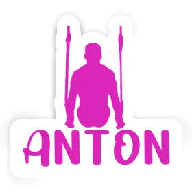 Ringturnerin Aufkleber Anton Image