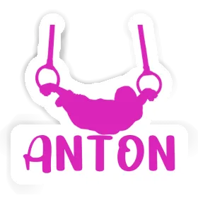 Ringturnerin Aufkleber Anton Image