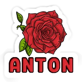 Autocollant Fleur de rose Anton Image