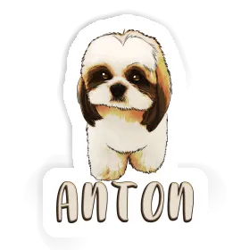 Shih Tzu Aufkleber Anton Image