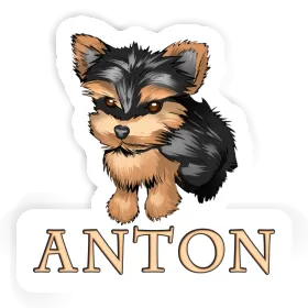 Aufkleber Yorkie Anton Image