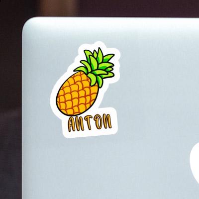 Anton Aufkleber Ananas Gift package Image