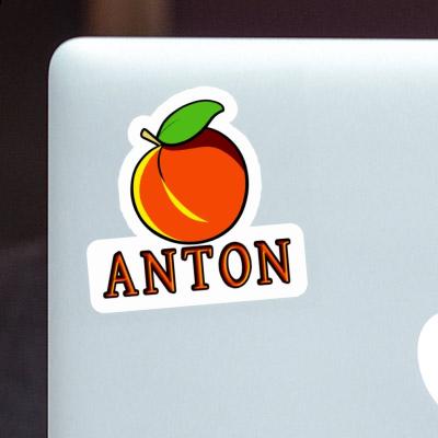 Anton Sticker Apricot Image