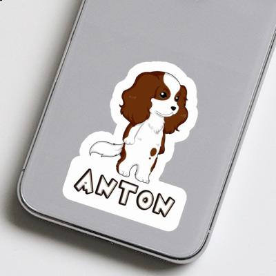 Aufkleber Cavalier King Charles Spaniel Anton Notebook Image