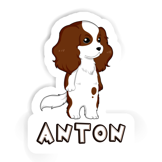 Aufkleber Cavalier King Charles Spaniel Anton Image