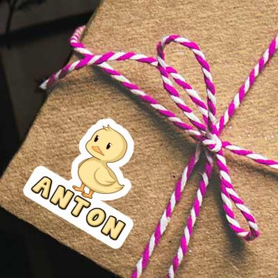 Duck Sticker Anton Gift package Image