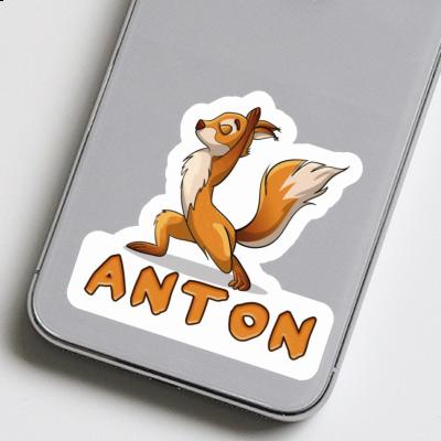 Yoga-Eichhörnchen Sticker Anton Laptop Image