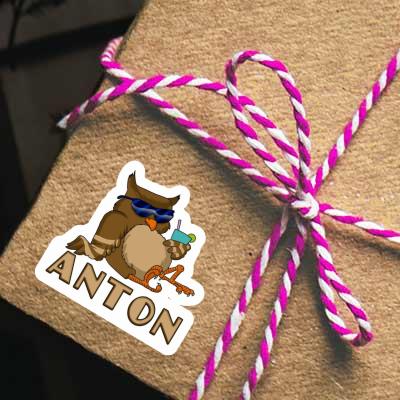 Sticker Cool Owl Anton Gift package Image