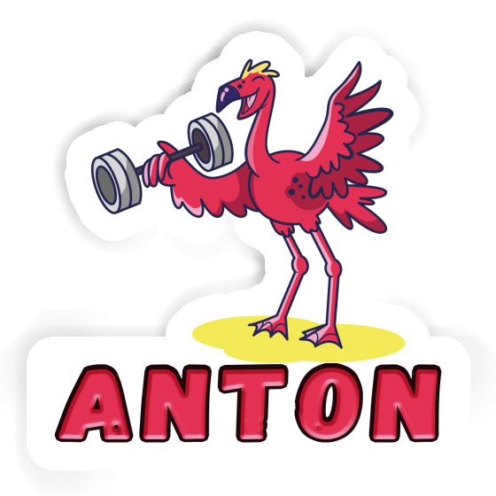 Flamingo Sticker Anton Gift package Image