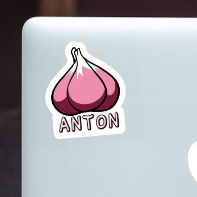 Knoblauch Sticker Anton Laptop Image