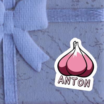 Knoblauch Sticker Anton Notebook Image