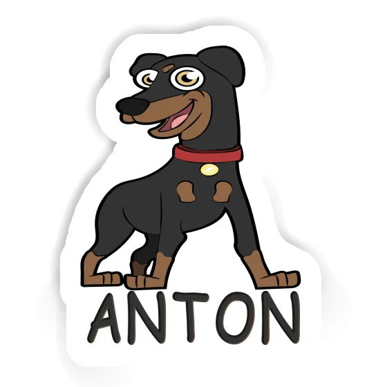 Aufkleber Anton Pinscher Gift package Image