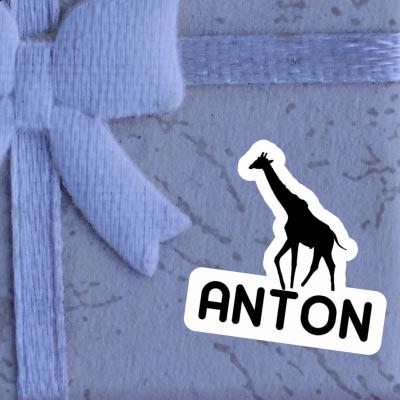 Aufkleber Anton Giraffe Gift package Image