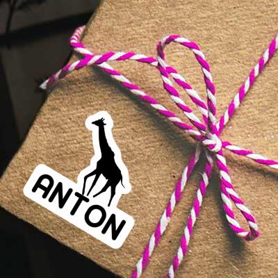 Sticker Anton Giraffe Image