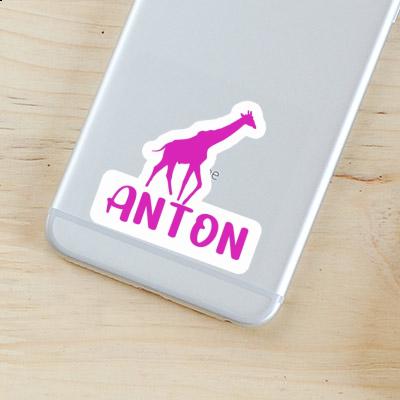 Aufkleber Giraffe Anton Laptop Image